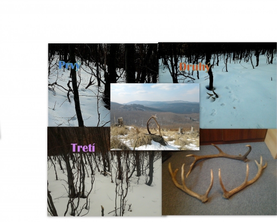 Dnešná podarená prechádzka