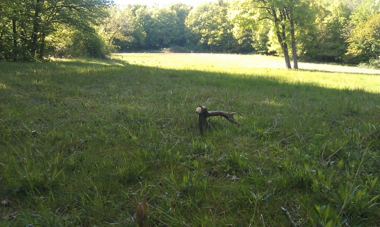 Treba si vážiť aj tie menšie