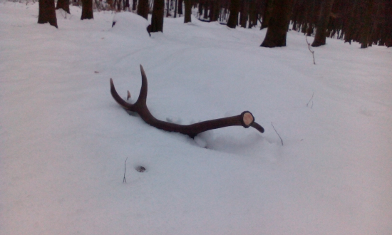 Dobre sa to tento rok začína