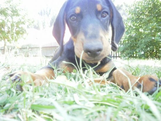 Arda od Kalinovského potoka :)