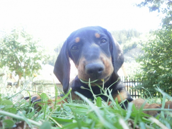 Arda od Kalinovského potoka :) :*