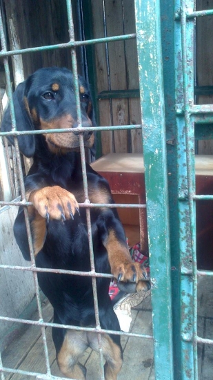 Arda od Kalinovského potoka :)