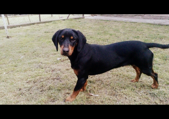 Arda od Kalinovského potoka