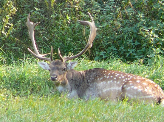 Tesne pred štartom...