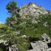 Trochu leta z Tatier