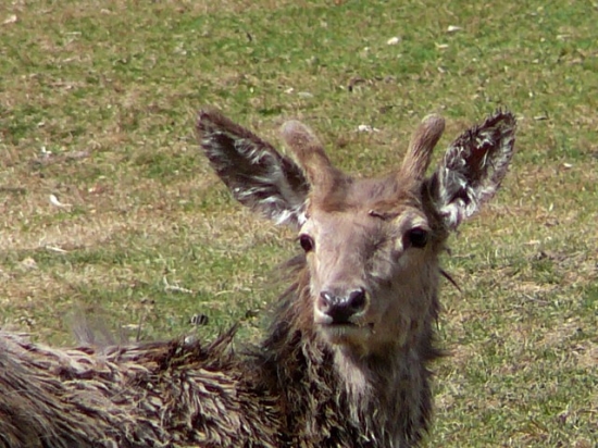 Malému už rastú...