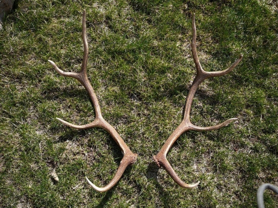 Aj taký pár poteší...