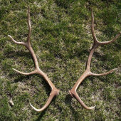 Aj taký pár poteší...