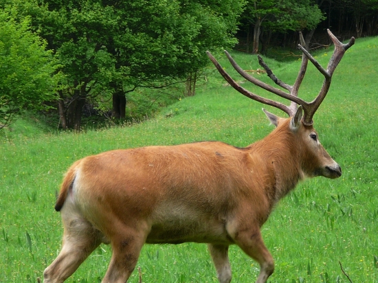 Už prefarbil aj vytĺkol