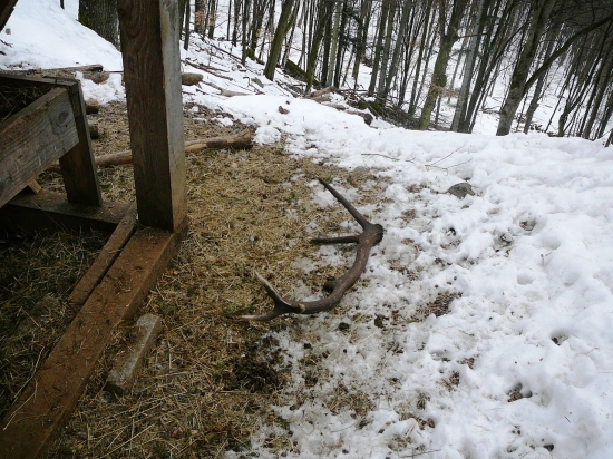 Ďalšie poďakovanie