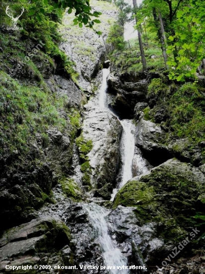 Zejmarská roklina
