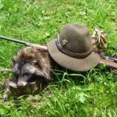 Psík Medvedikovitý