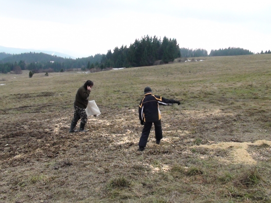 Zasiau som žitko nebudem ho žať :o)