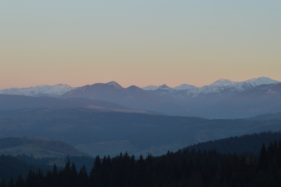 Už sa nám belejú