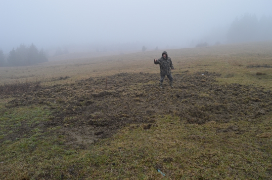 a môze sa siať :o)