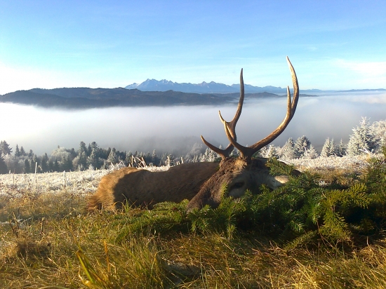 I VT. v pozadí Lomnický štít a Belianske tatry