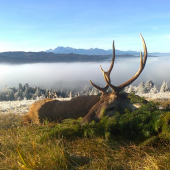 I VT. v pozadí Lomnický štít a Belianske tatry