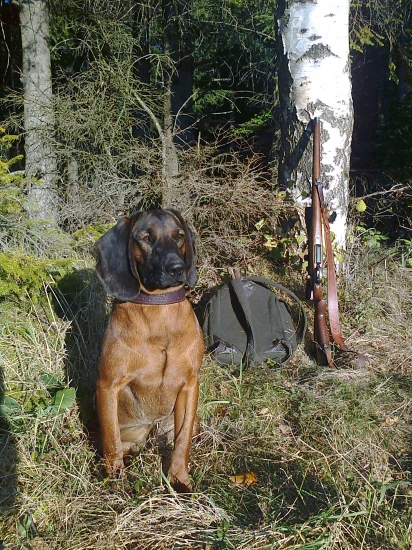 zuna spod Glatzu.otec Gero lesnícka Luka