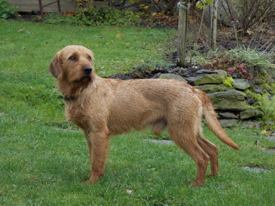 Andy z Kopaninské hájovny