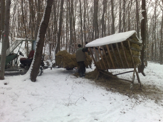 Zistený nedostatok po mesiaci a jeho naprava.