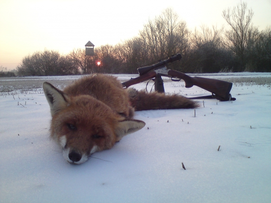 Svitanie na poslednom snehu