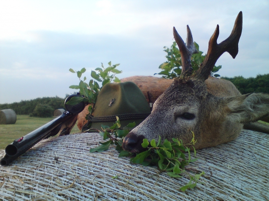 Fešák z rána, striebro 118,85 b CIC
