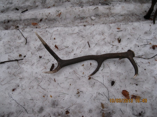 dnešný 10-torák 2kg