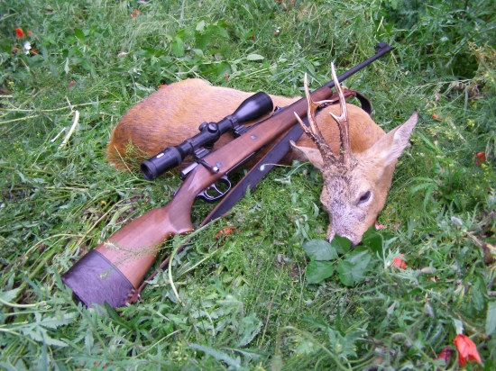 Překvapený