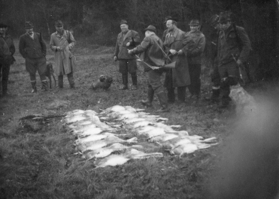 Brdy, lesní hon 60. léta