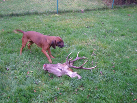 Utvrzujeme hlášení