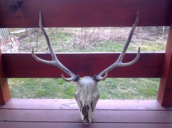 Veľká škoda (iný pohľad)