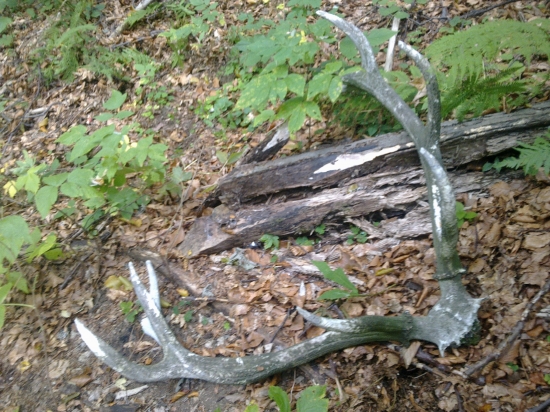 Meškali sme iba 15 rokov