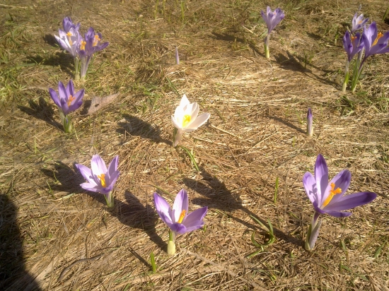 V kruhu najbližších