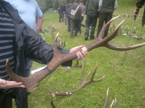 Ľubietovská rarita