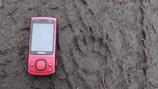 Medvieďa,alebo jazvec?l