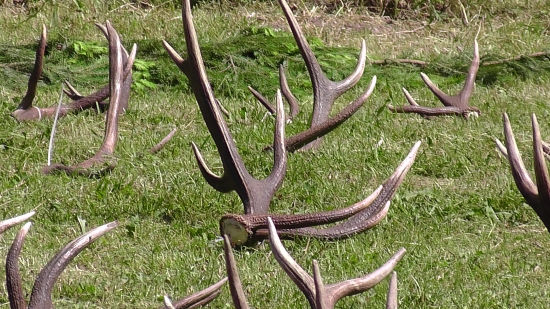 Také miesto nájsť...