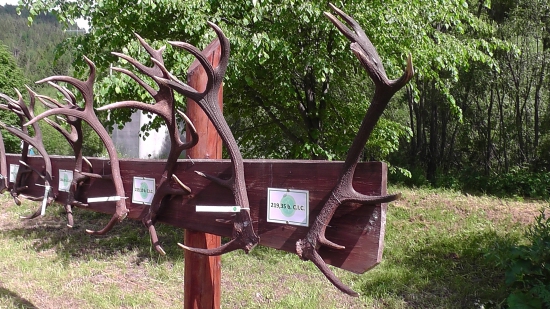 Najsilnejšie z Nízkych Tatier