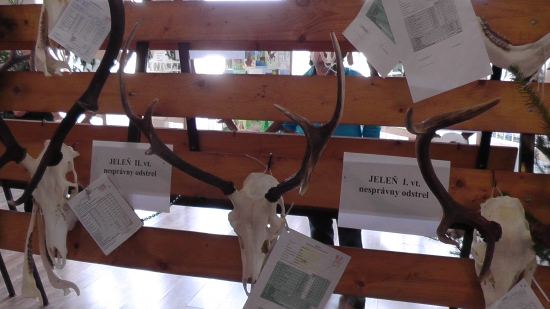 Prvé parožie-úhyn