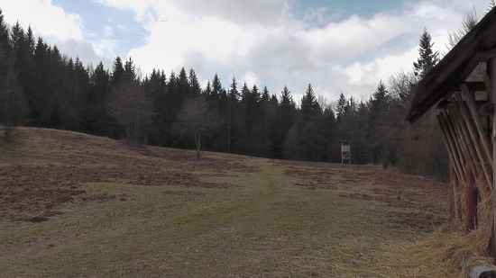 Dobre sme zakŕmili...