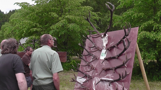 Najsilnejší na výstave