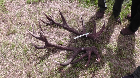 Tohtoročné-pre porovnanie