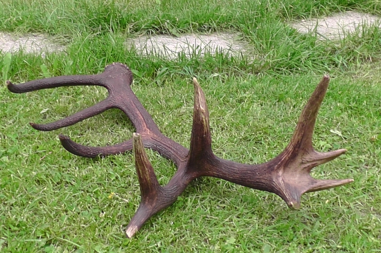 Zhodík-iný pohľad