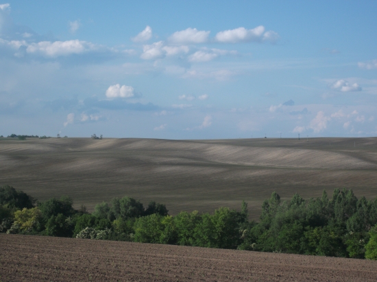 pohľad na pole