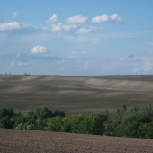pohľad na pole