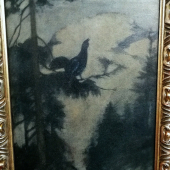 Sovanka... Tetrov  na svitani