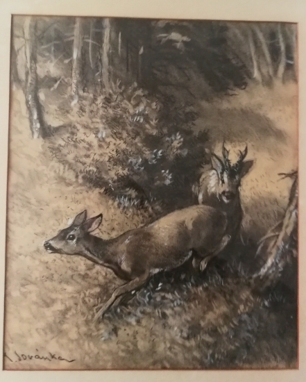 Sovanka-Srnčia ruja komb.technika