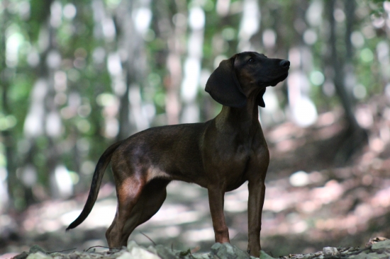 Dnes má moja Dona 5. mesiacov.