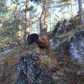 kuk:D