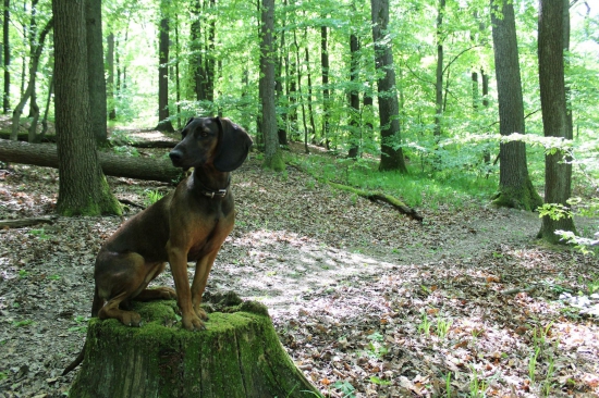 Póza na požiadanie.