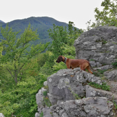 Má to pod kontrolou